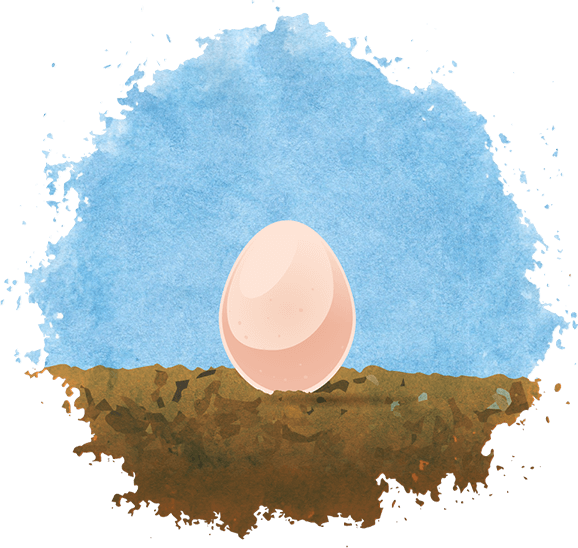 Egg.