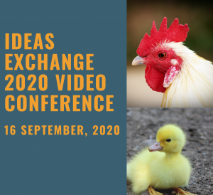 Ideas Exchange Conference 2020 – Program now available