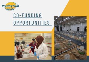 Co-investment grants now open!